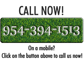 954-394-1513